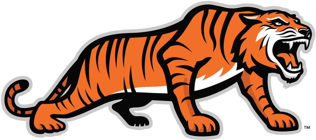 RIT Tigers 2004-Pres Alternate Logo 05 iron on paper